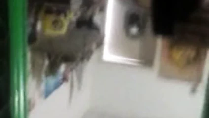 PUTARIA PURA DA ZONA