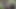 Bu bir porno dökümü değil ama nata garip adamı memnun etmek zorunda