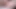 Yalnız orta yaşlı seksi kadın amcık kasılma orgazmı için dildo seansı yakın çekim