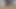 video 1462 07032017