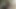 Bu ince zenci kız erkek arkadaşına binerken bir g string yana doğru uçuyor