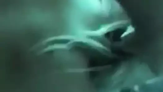 Kar yağdı komşu onu kedi sıcak tutar