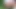 Seksi Esmer Dışarıda Idrar Kesesini Boşaltmaya Çalışıyor, Sonra inşaattaki Bir Evin Yanına Hızlı Işiyor