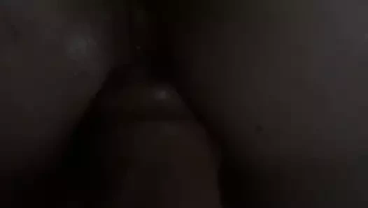 Tera büyük kahverengi dong alır