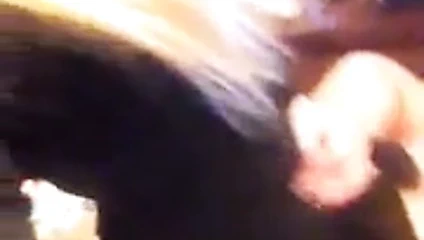 Atina ferari dansı11