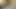 Güney Asyalı eş amcık porno