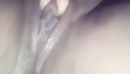 Amcık