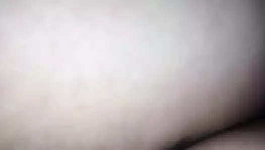 Dorme senza muatandine la porca