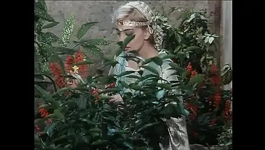 Gerçek Penis Ustaları