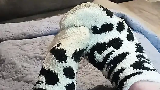 Arrête de voler ma chaussette
