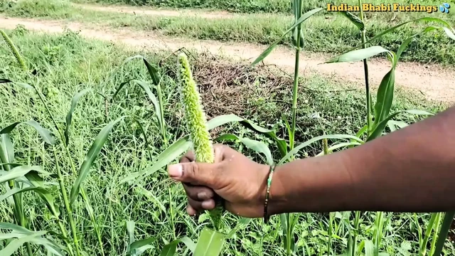 Sumitha bhabi komşus un kocasıyla bir ilişki yaşıyor. Sert seks seansı, açık havada göğüslerini gösterme, amcık yalama, xxx, net ses