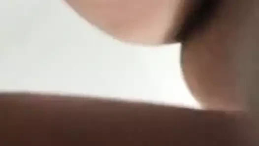 Amador Caseiro Real 32