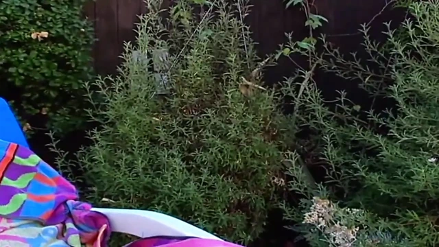 Havuz partisi — bölüm 5