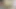 Xhamster'den tanistigim citiri amdan gotten siktim 01.05.19