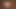 Süper derleme cumshot oral seks