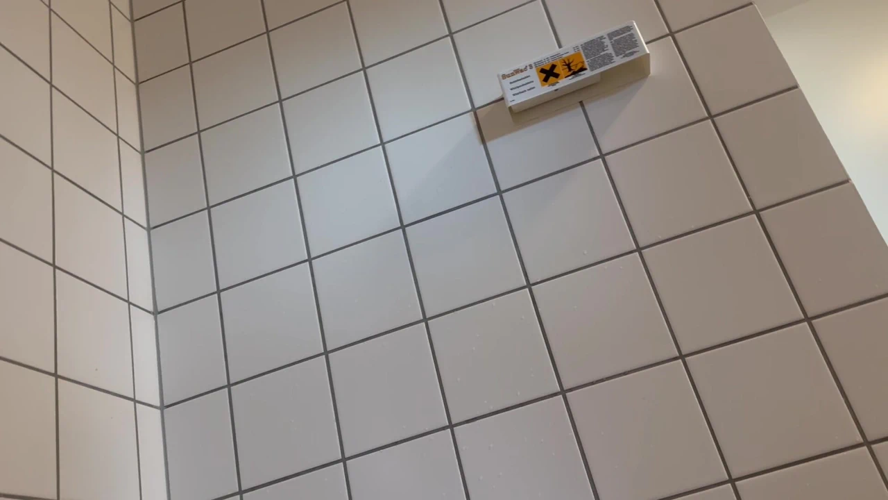 Dildo ile ıslak amcık oyunu