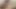 Utangaç ama azgın kori kreams daha fazlasını istiyor, öyle görünüyor