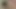 Çarpıcı esmer bebek hoşlanır sıcak anal kahrolası