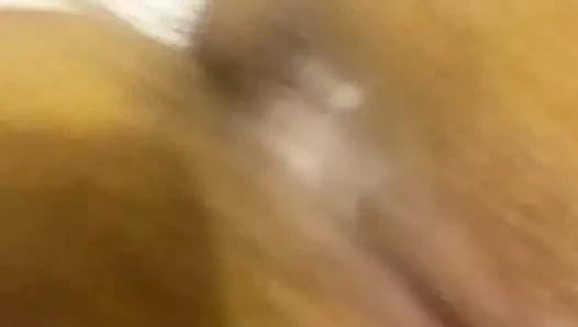 Cum içinde kıllı KEDİ