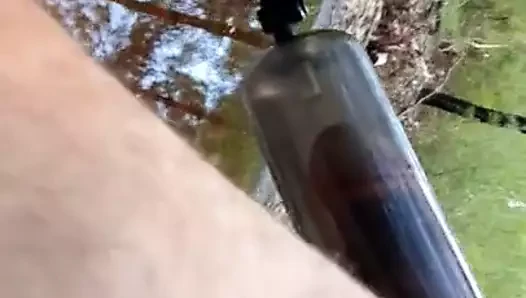 kamu horoz pompası