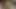 Amatör genç büyük götlü gerçek seks ve biniş