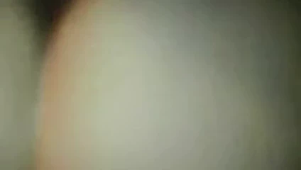 arkadaş osuruk KEDİ