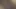 POV: Northeast Indian Girl Tight Wet Pussy Gets Finger Fucked & Destroyed