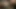 Indian desi bhabhi's sex videos