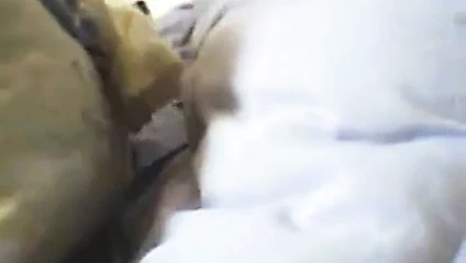 Çok sert arabian sikme ve krem ​​pasta