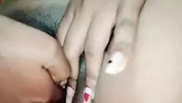 Dasi sex