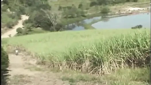 Açık havada zonklayan yarak gırtlağına kadar alıyor - şişkin gırtlak ve göt yalama çılgınlığı