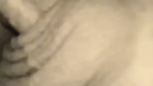 In die muschi gefickt