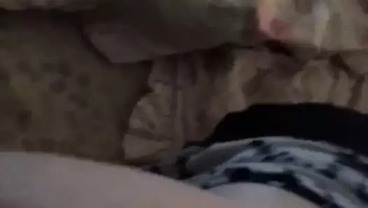 Kıllı kız arkadaşımı kıçından sikiyorum