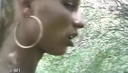 Brasil trans tutkusu 4