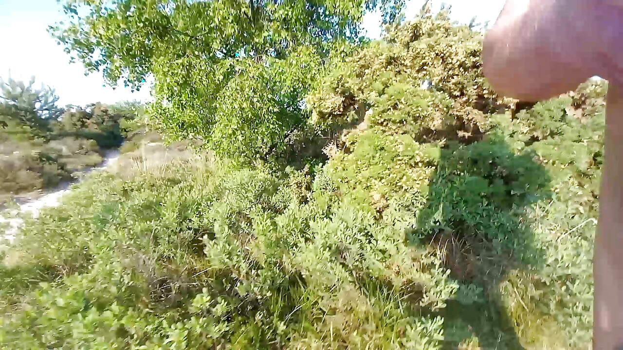 studland plajı