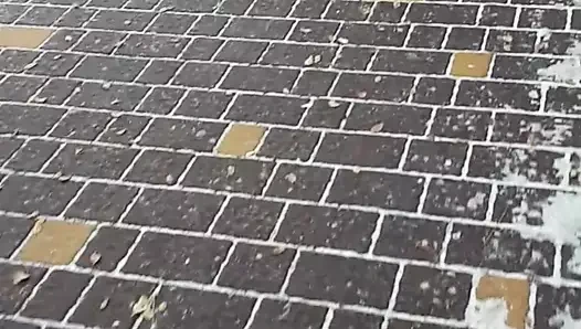 Tayt dışında tayt