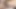 Seksi Brezilyalı trans Livie Blainn'i sikiyor