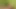 Joy - odamda sikişmek isteyerek uyanıyorum ama başladım