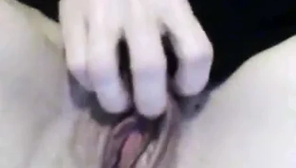 Kedime rastgele nesneler yapıştırmak