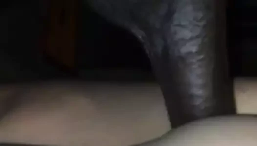 Eski kız arkadaş ile kıllı kedi inilti üzerinde bbc