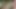 Edepsiz Alman nine ormanda sikiliyor