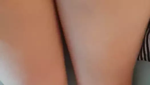 18 yaşlı güzel kedi