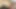 Esmer kadın amına mısır koçanı ve dildo sokuyor