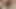 Büyük memeli travesti göt deliğini yalatıyor ve dövmeli adam tarafından sikiliyor