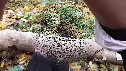 Gonzo işemek bayanlar zevk almak işemek üzerinde onların subs