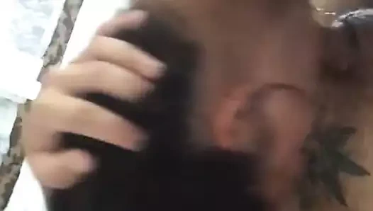 Bulgar tazmanya canavarı emilir