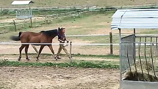 Kızgınlık dönemindeki bir fahişenin anal arzuları