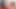 Bbwxxxadventures - madison marxxx büyük zenci tarafından sert sikiliyor