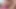 Noel Baba takım elbiseli Stella Cardo amına dildo sokuyor