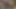 Genç kız esmer amında dildo seviyor sonra güzel sert bir yarak